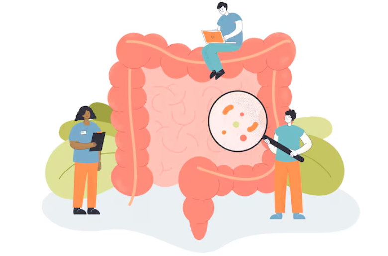 Gut Health